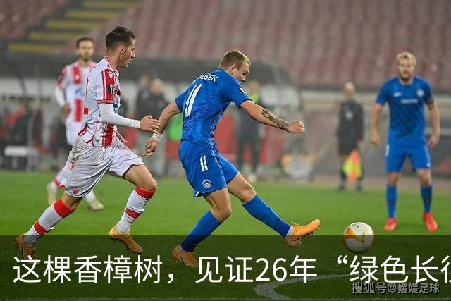 这棵香樟树，见证26年“绿色长征”
